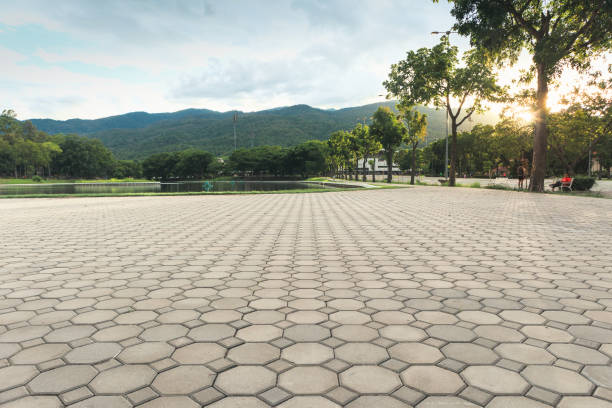Best Driveway Pavers Near Me  in Lexington, MI